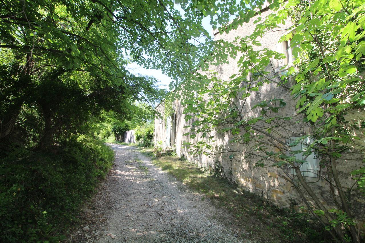 Chateau De Fontblachere Saint-Lager-Bressac Luaran gambar
